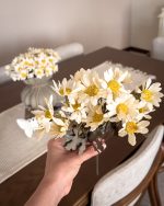 بوته دسته‌ای گل بابونه گلبرگ درشت مناسب دکوراسیون منزل